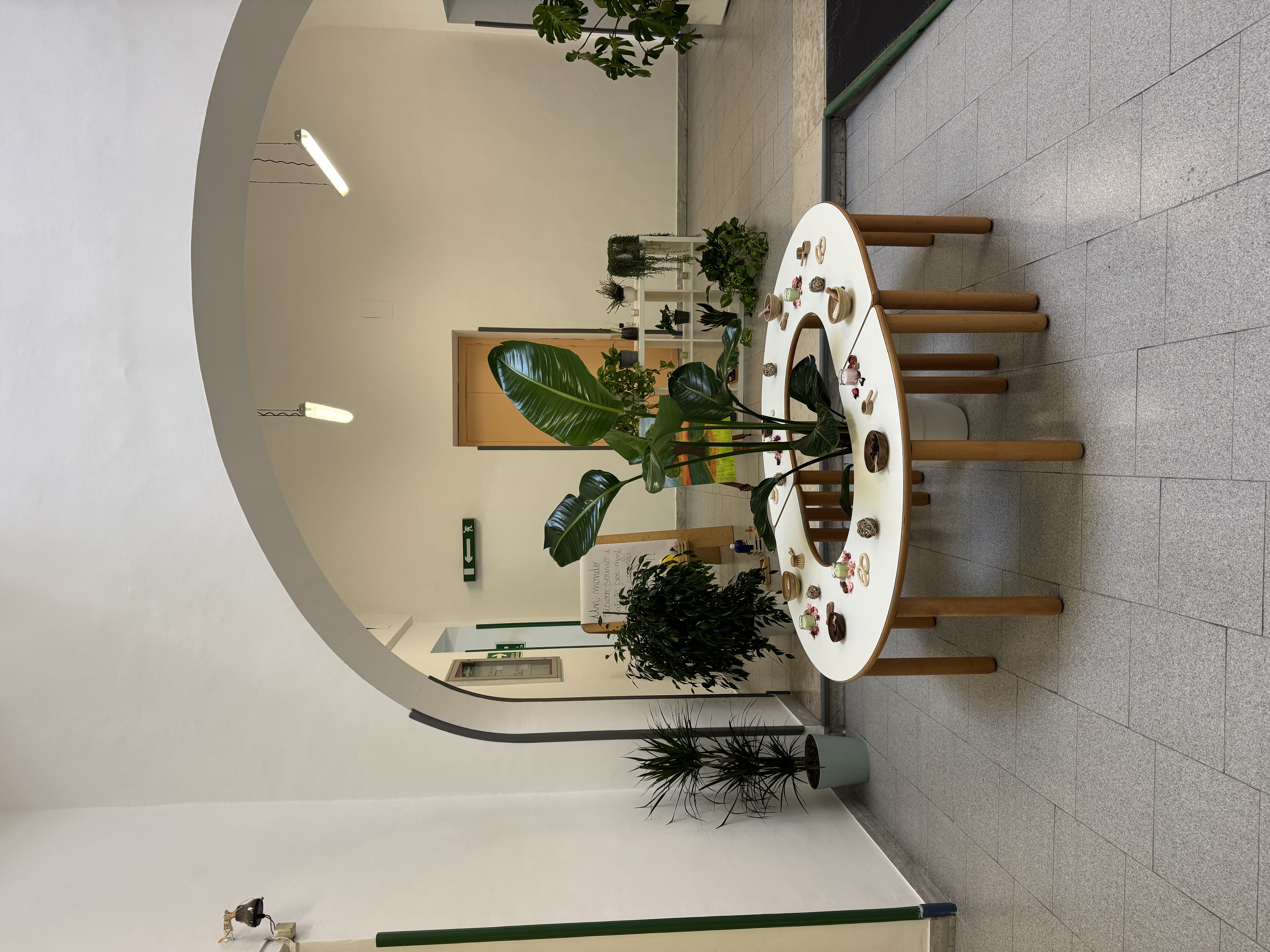 Fiocchi e Balocchi - Foto 1