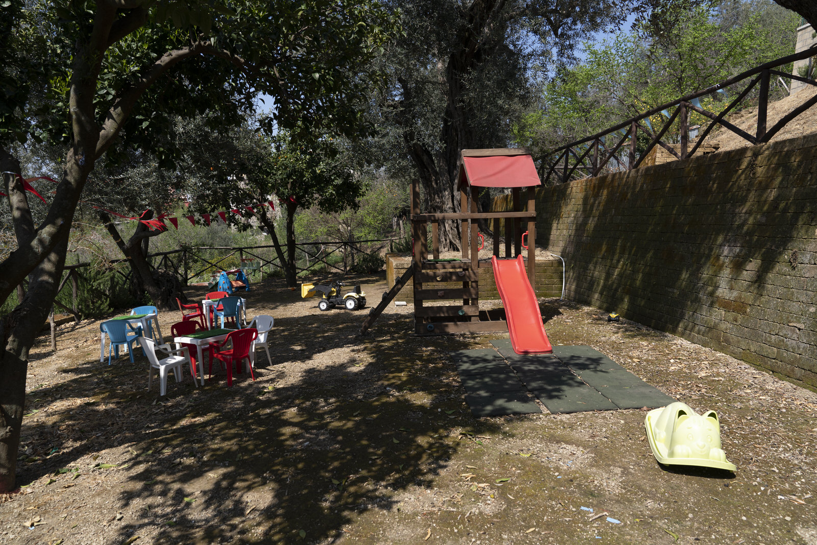 Fiori di Campo - Foto 7