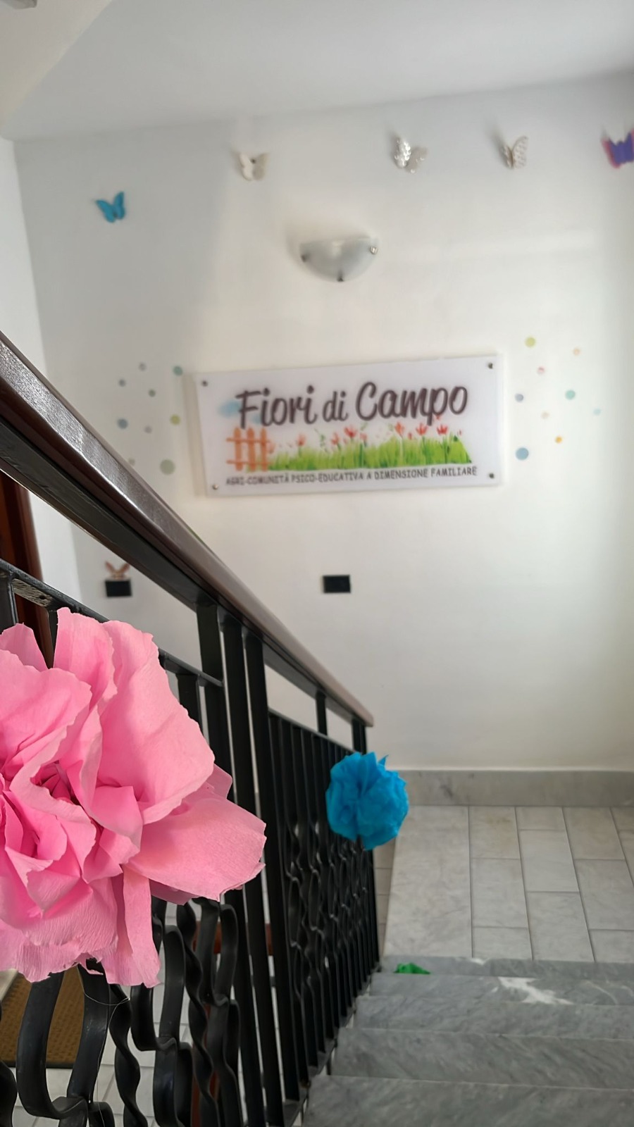 Fiori di Campo - Foto 14