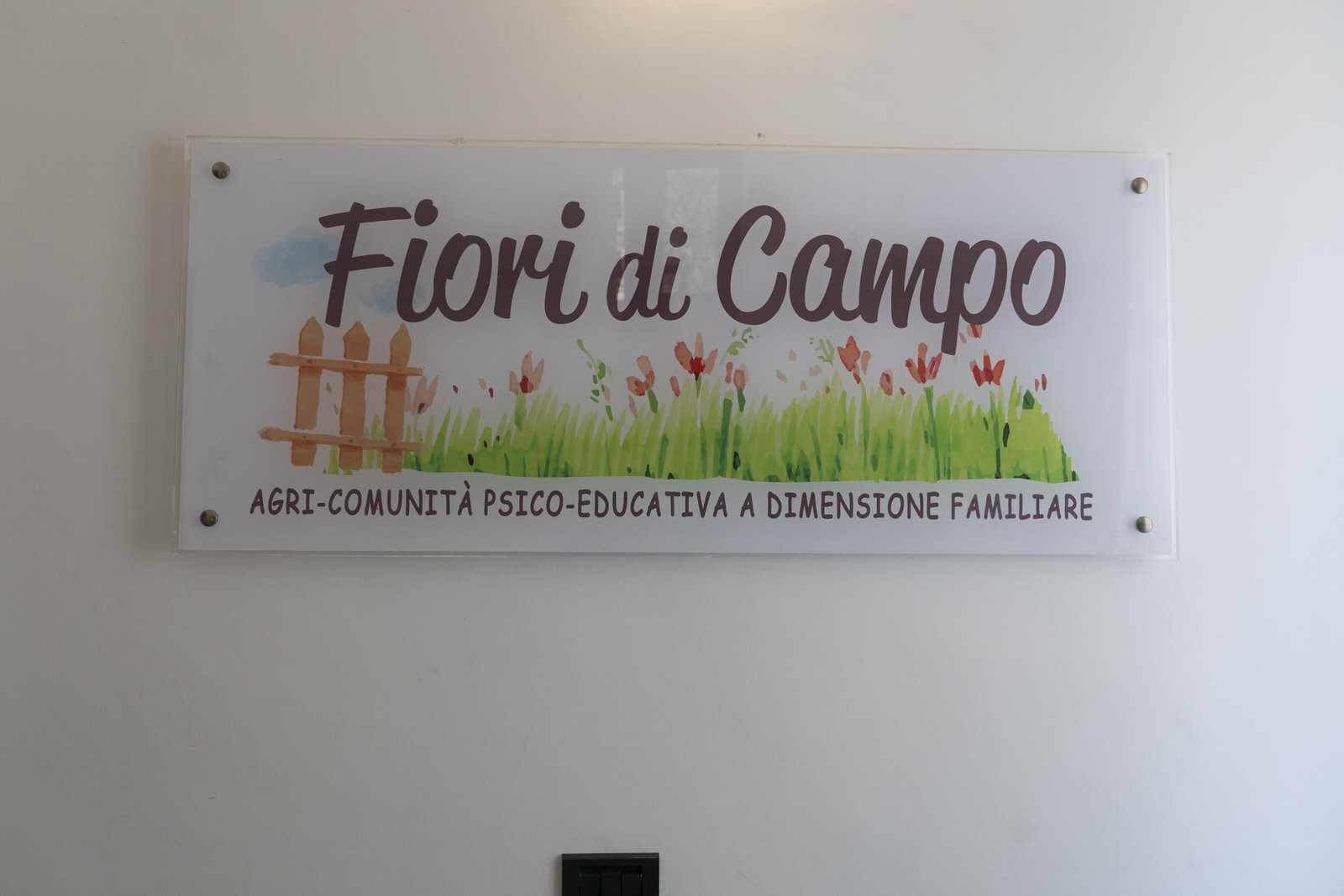 Fiori di Campo - Foto 3