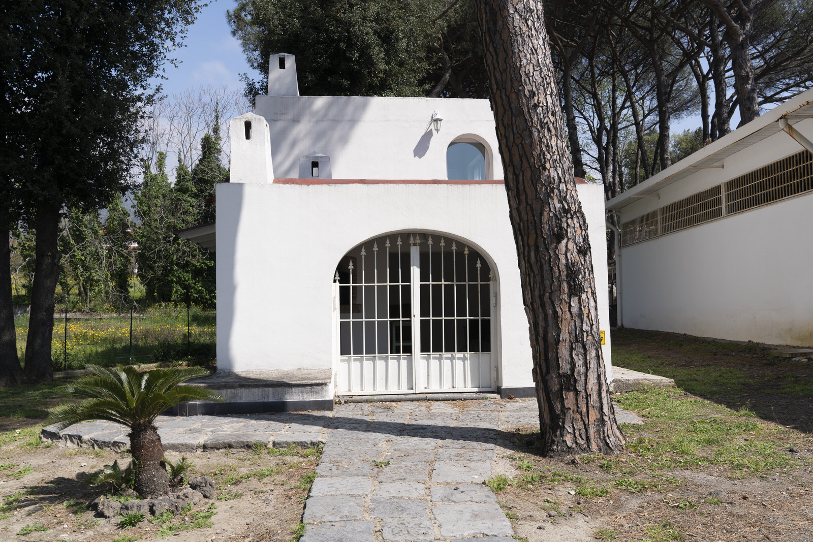 Tenuta Carandini - Foto 10