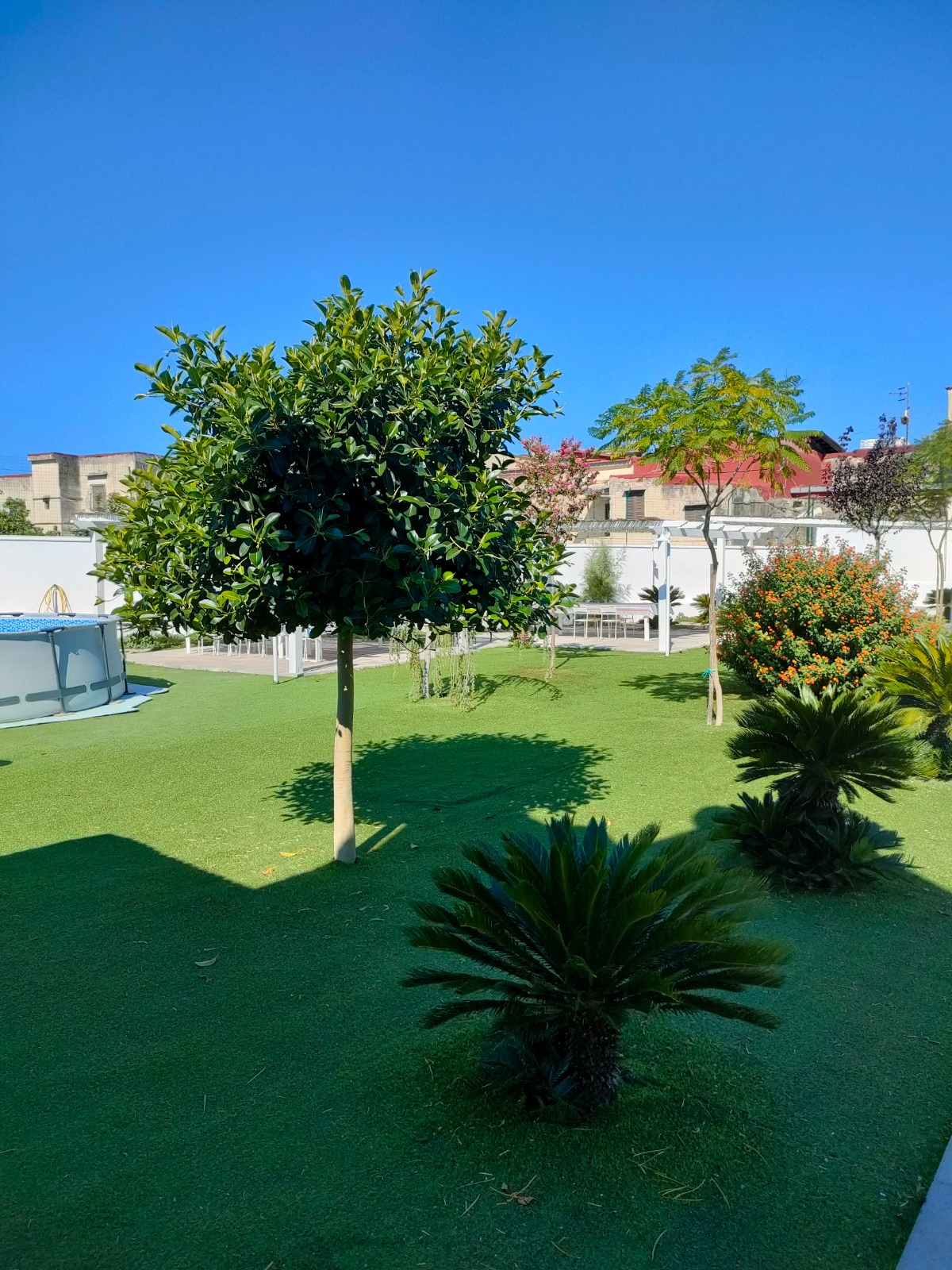 Il Melograno - Foto 12